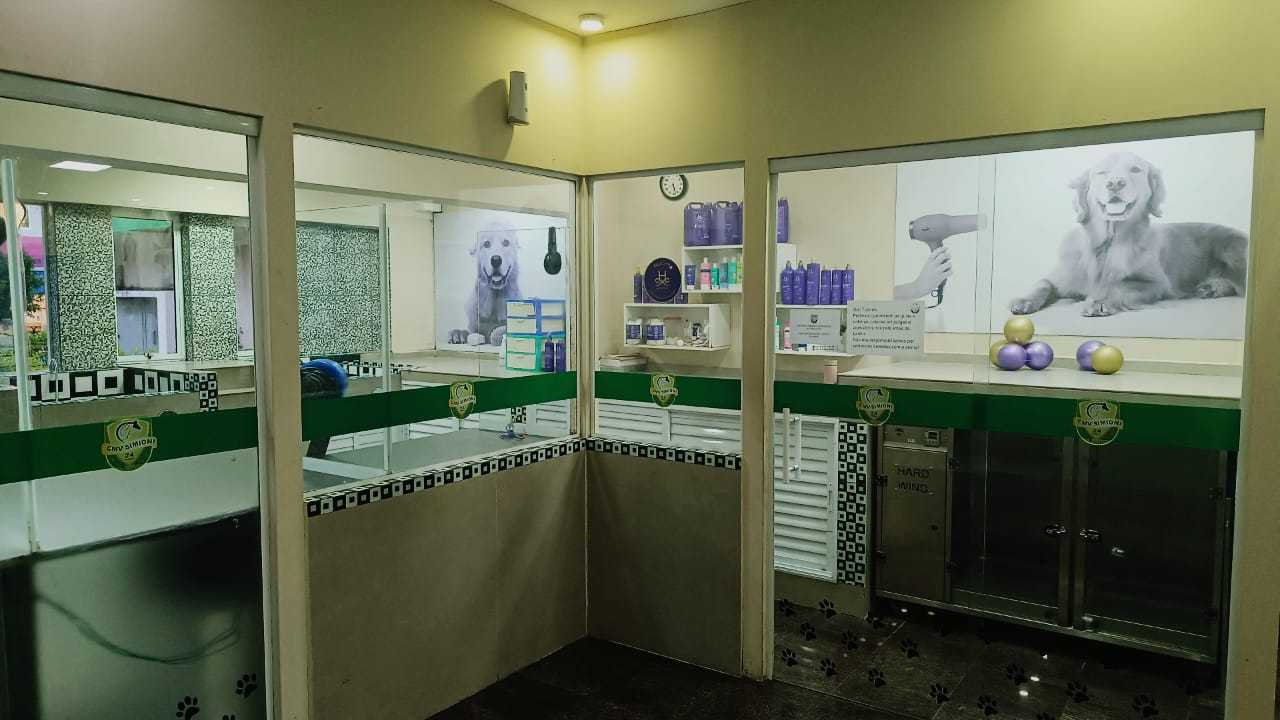 Foto da Galeria