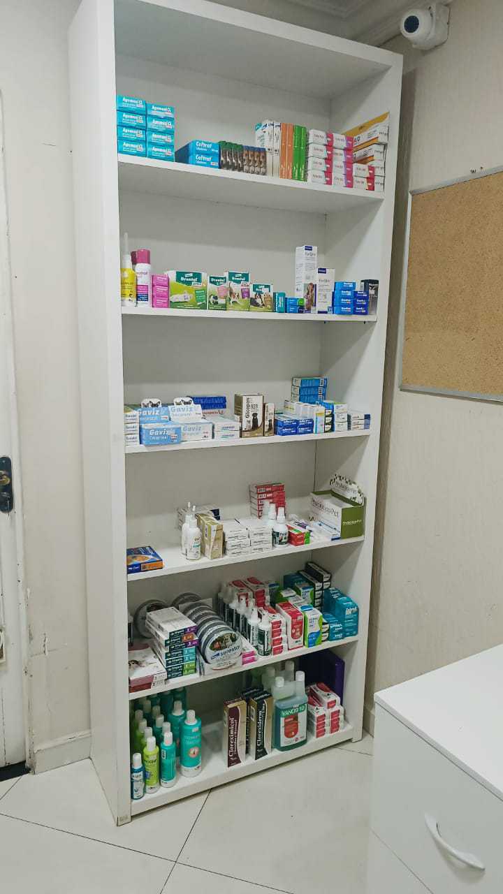 Foto da Galeria